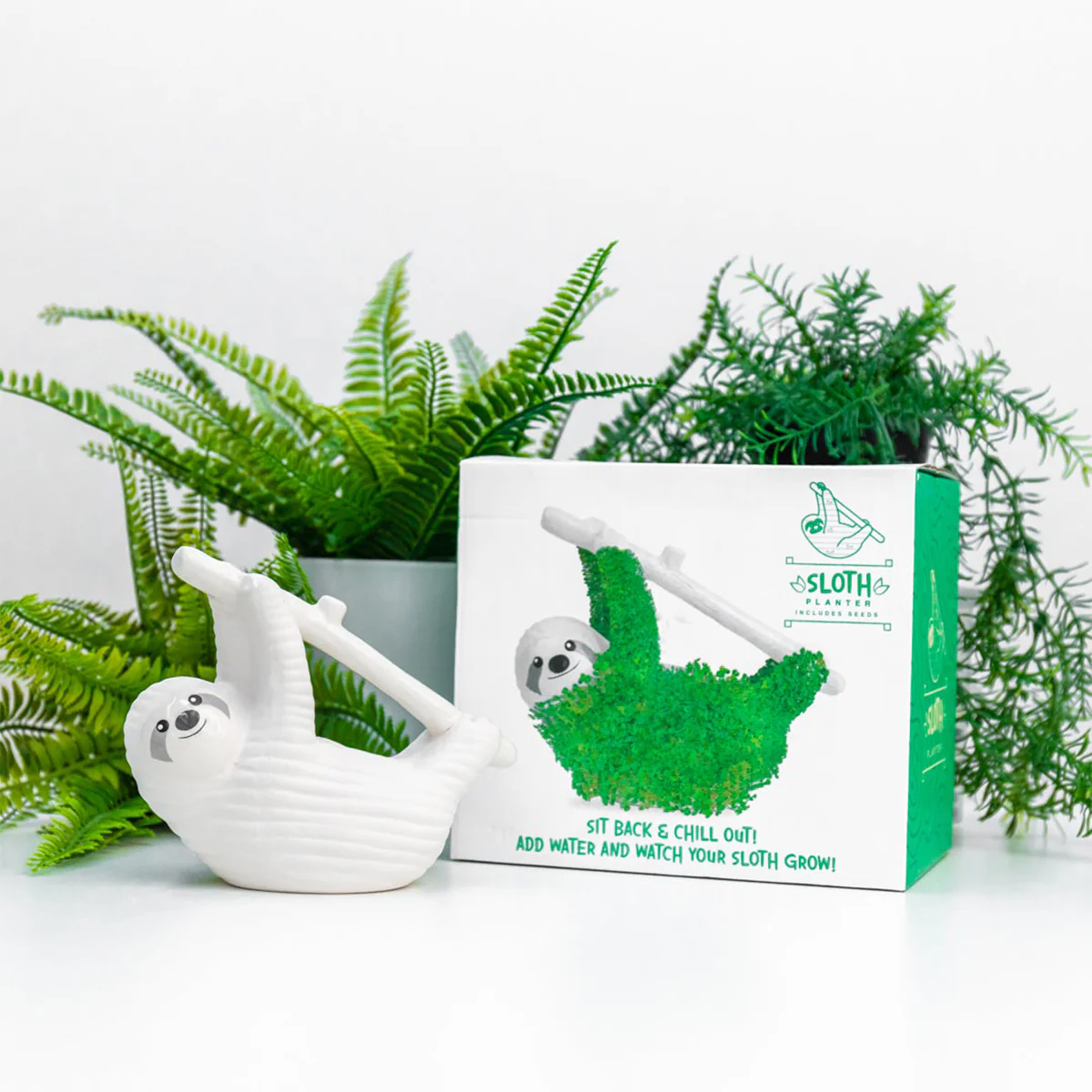 Image du produit 5