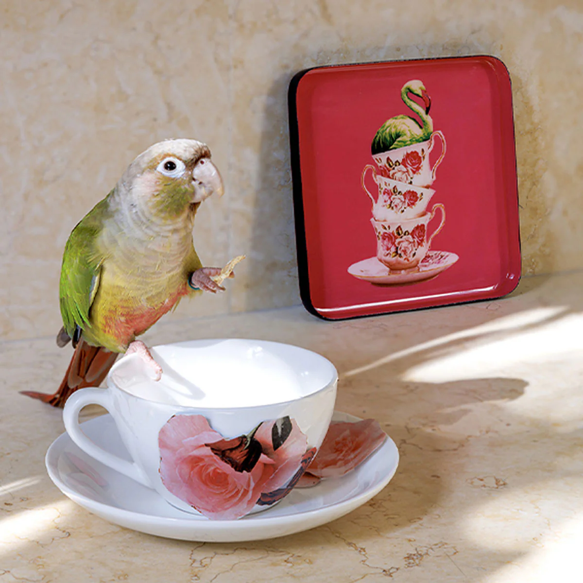 Miniature 2